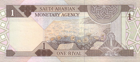 Back of 1 Riyal