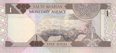 Back of 1 Riyal