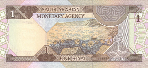Back of 1 Riyal