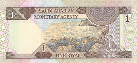 Back of 1 Riyal