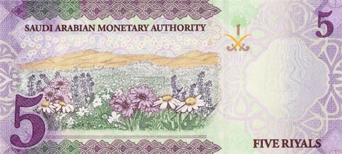 Back of 5 Riyals