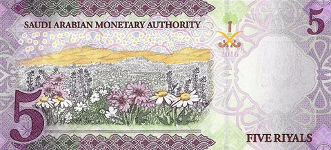 Back of 5 Riyals