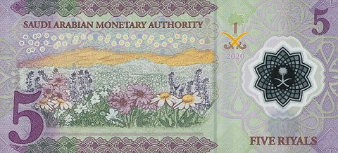 Back of 5 Riyals