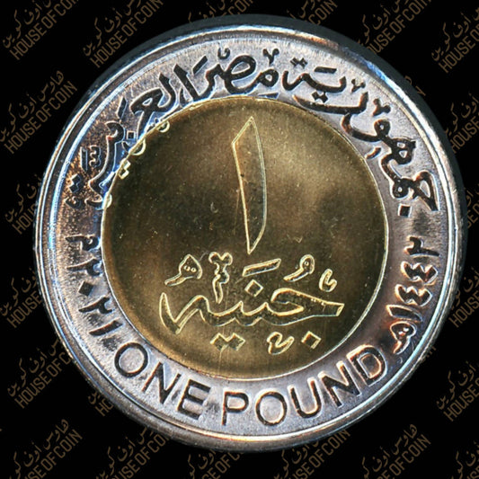 2020 EGYPT 1 POUND - COMMEMORATIVE - COVID-19 EGYPT'S MEDICAL STAFF